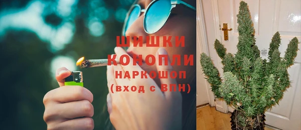 Альфа ПВП Няндома