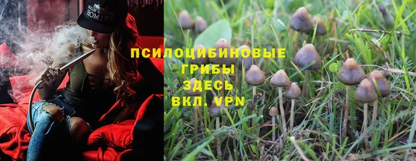 Альфа ПВП Няндома