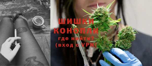 Альфа ПВП Няндома